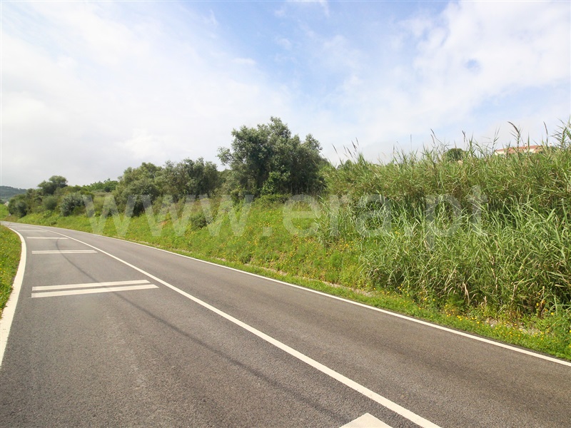 Terreno para Construção  Santarém, Moçarria - 1475383 - 14