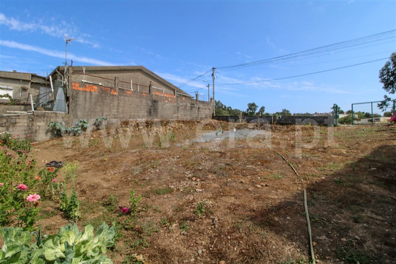 Terreno  Santo Tirso, Agrela - 1263551 - 6
