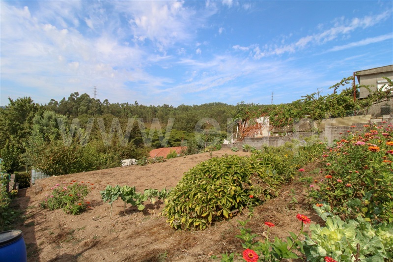 Terreno  Santo Tirso, Agrela - 1263551 - 11