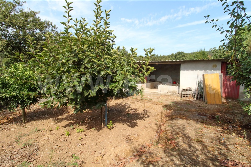Terreno  Santo Tirso, Agrela - 1263551 - 12