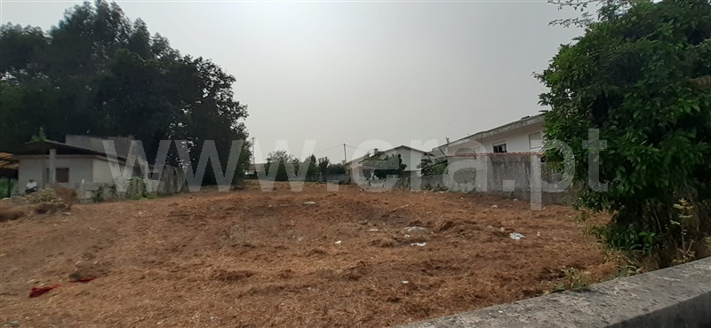 Terreno para Construção / Santo Tirso, Aves