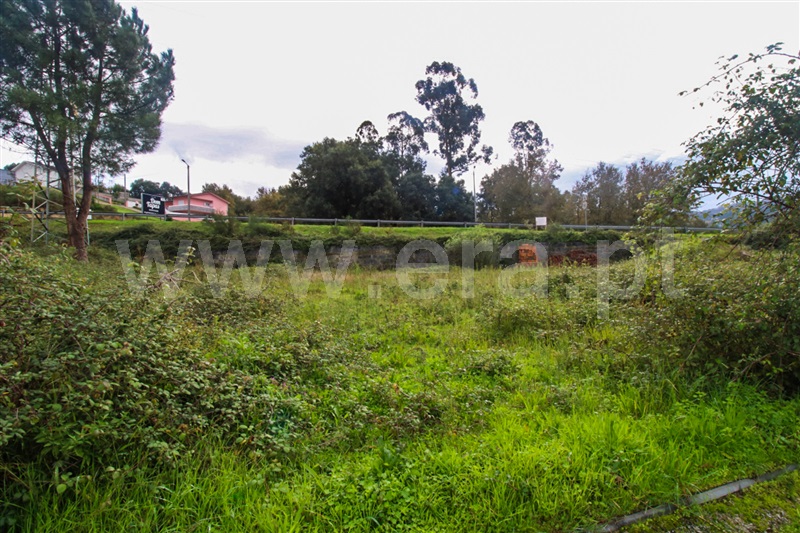Terreno para Construção / Santo Tirso, Campo (São Martinho), São Salvador do Campo e Negrelos (São Mamede)
