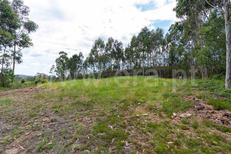 Terreno para Construção  Santo Tirso, Lamelas e Guimarei - 1444431 - 7