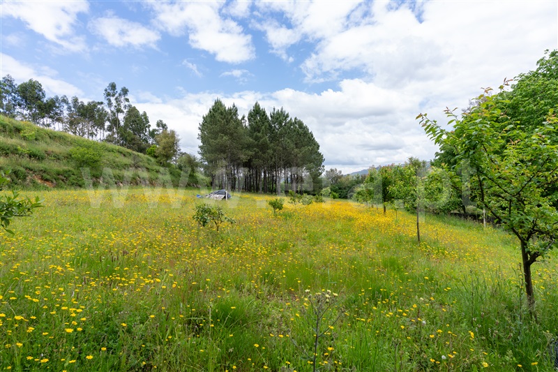 Terreno para Construção  Santo Tirso, Lamelas e Guimarei - 1444431 - 16