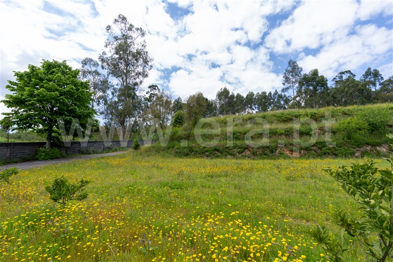 Terreno para Construção  Santo Tirso, Lamelas e Guimarei - 1444431 - 21