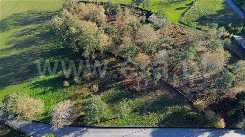Terreno para Construção / Santo Tirso, Refojos