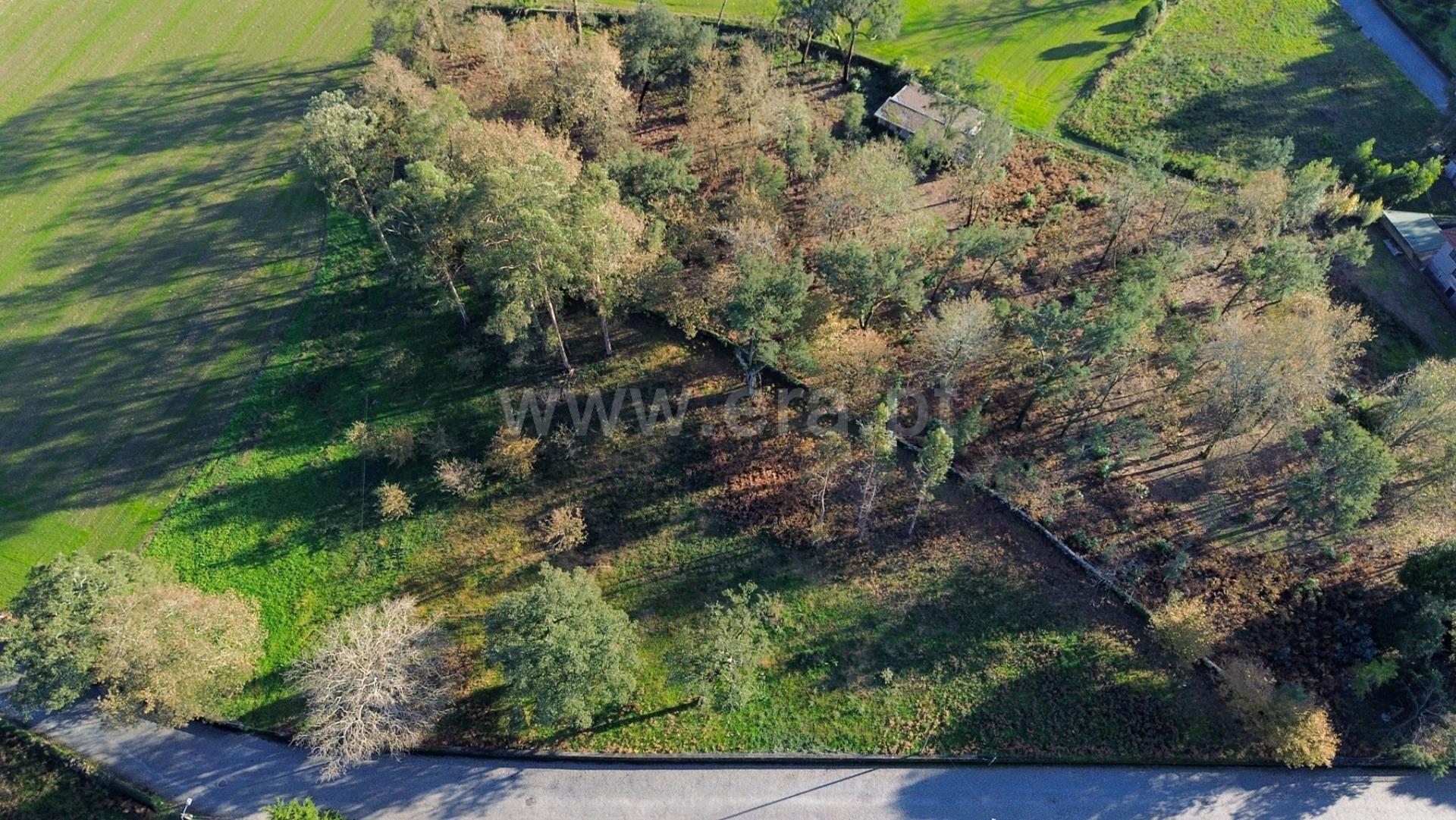Land for sale in Santo Tirso, Portugal — €350,000