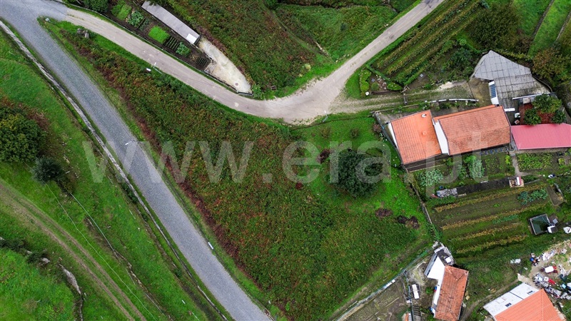Terreno para Construção / Santo Tirso, Roriz
