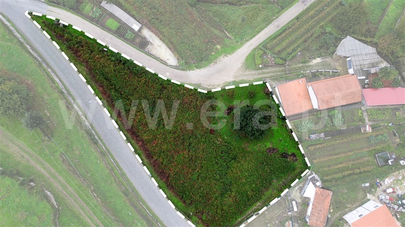 Terreno para Construção  Santo Tirso, Roriz - 1440046 - 7