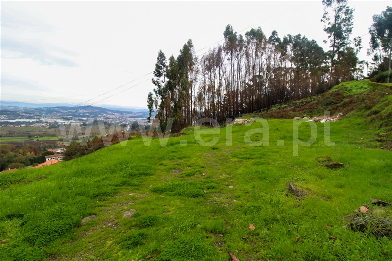 Terreno para Construção  Santo Tirso, Roriz - 1440048 - 4