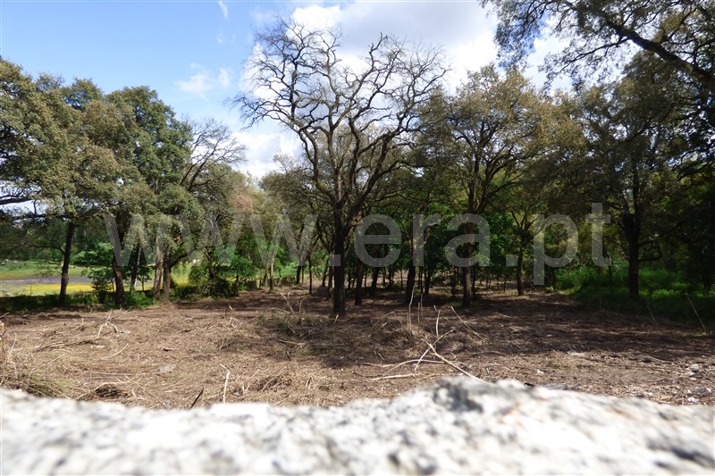 Terreno para Construção  Santo Tirso, Sequeirô - 746994 - 3