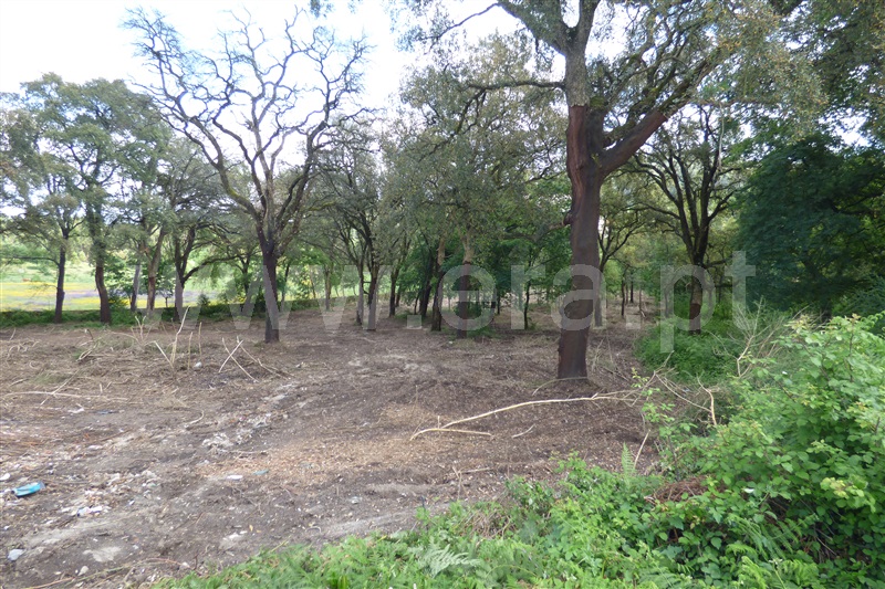 Terreno para Construção  Santo Tirso, Sequeirô - 746994 - 4