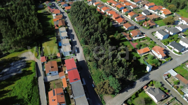 Terreno para Construção / Santo Tirso, Vila das Aves