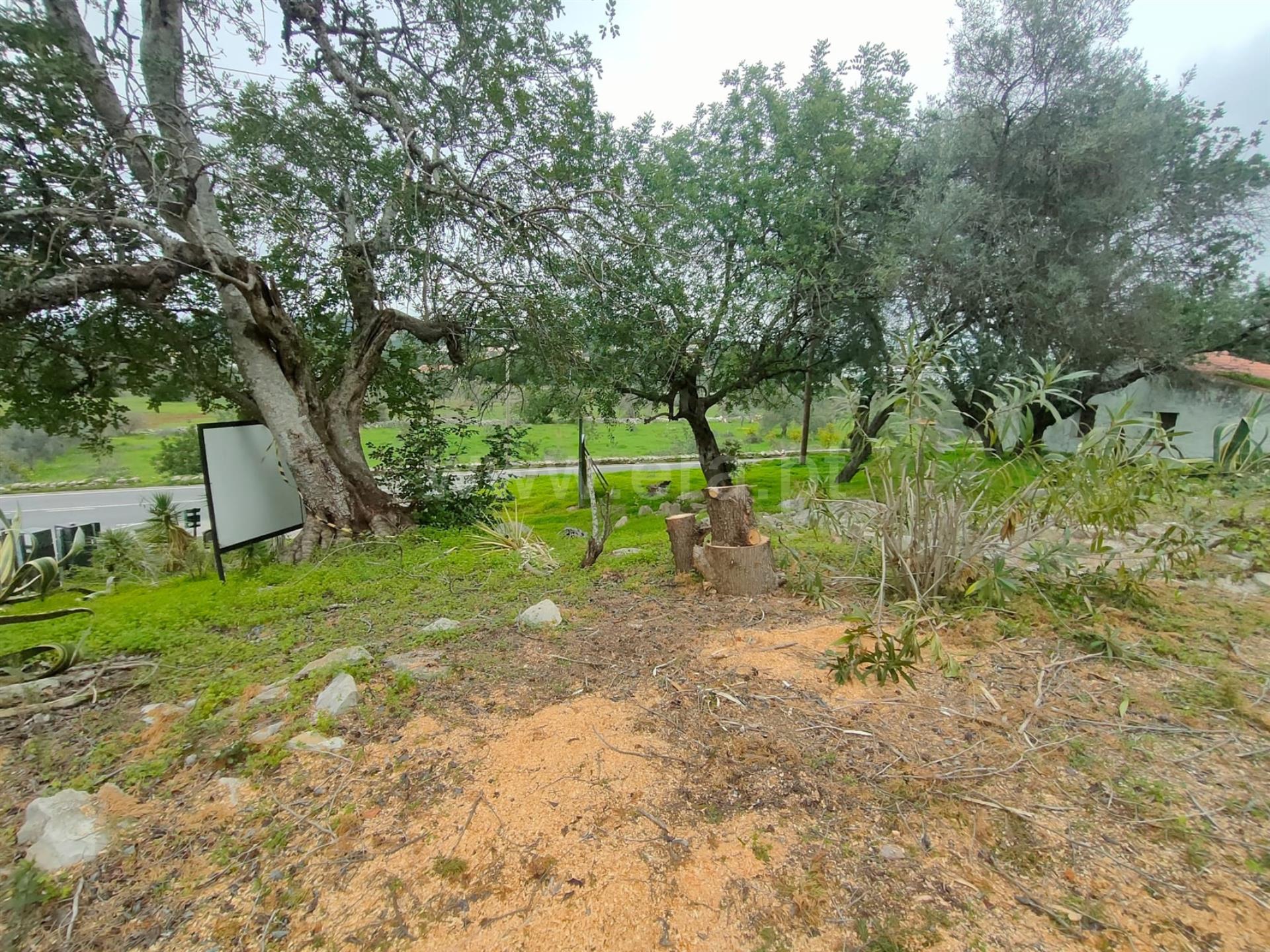 Land for sale in São Brás de Alportel, Portugal — €350,000
