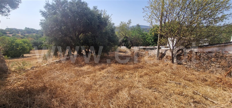 Terreno para Construção  São Brás de Alportel - 1500146 - 5