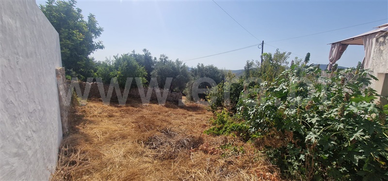 Terreno para Construção  São Brás de Alportel - 1500146 - 7