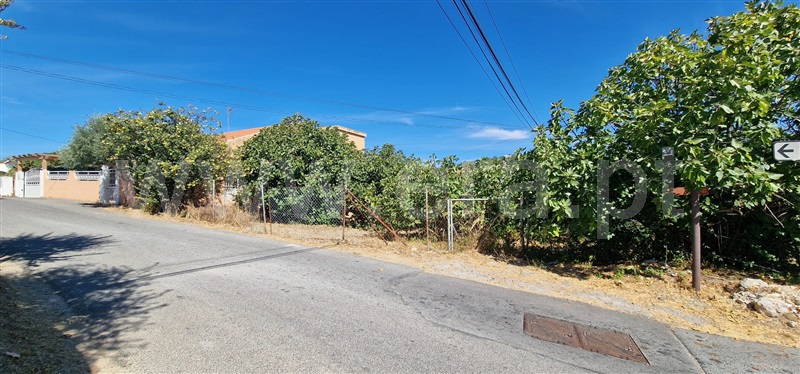 Terreno para Construção  São Brás de Alportel - 1505325 - 4