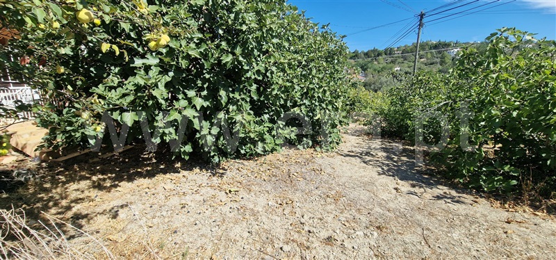 Terreno para Construção  São Brás de Alportel - 1505325 - 7