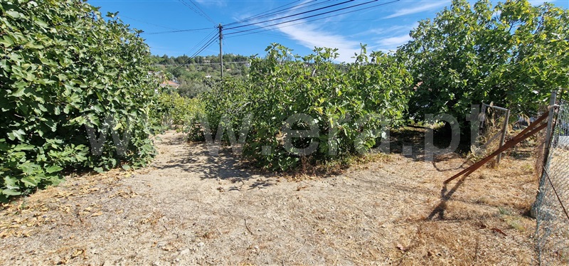 Terreno para Construção  São Brás de Alportel - 1505325 - 8