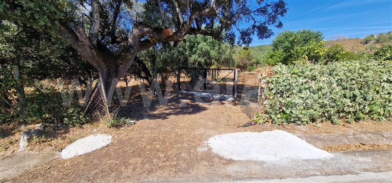 Terreno para Construção  São Brás de Alportel - 1505325 - 10