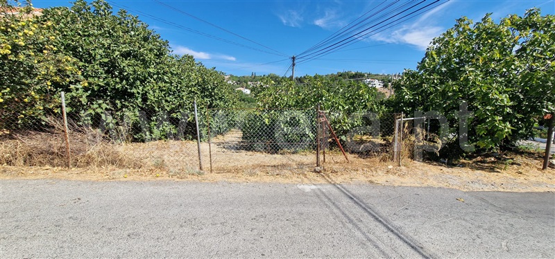 Terreno para Construção  São Brás de Alportel - 1505325 - 12