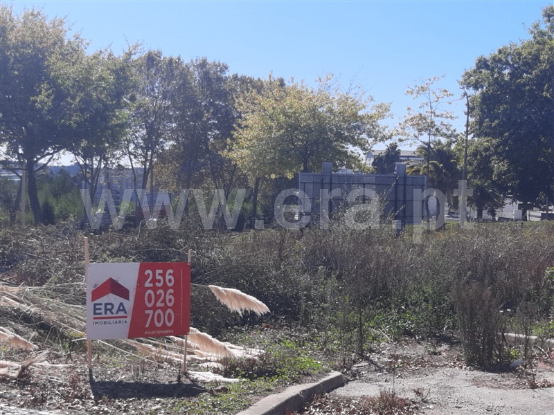 Terreno para Construção / São João da Madeira, São João da Madeira