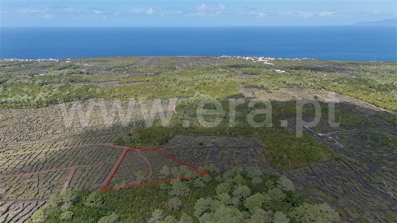 Terreno para Construção / São Roque do Pico, Santa Luzia