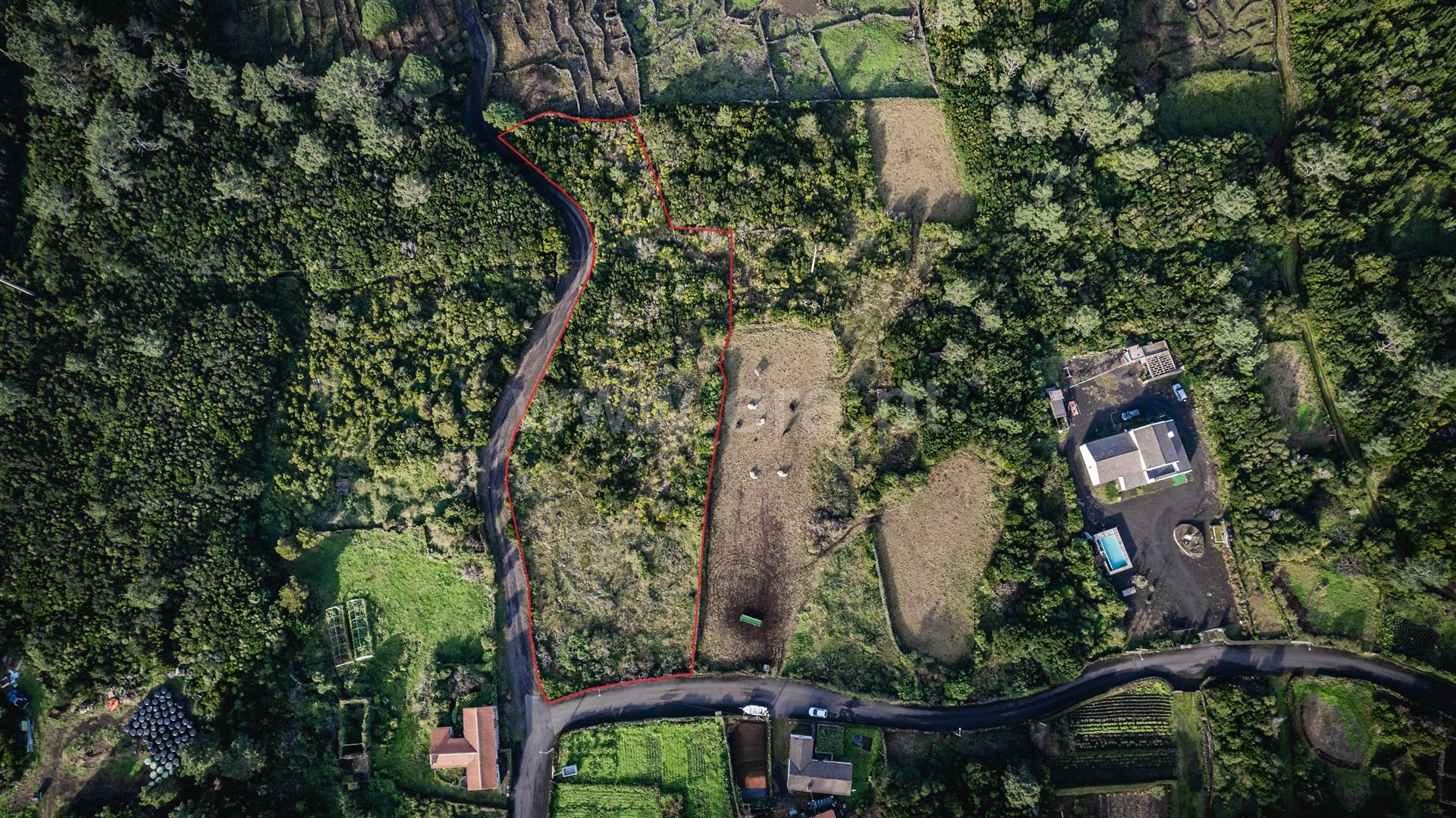 Land for sale in São Roque do Pico, Portugal — €69,000