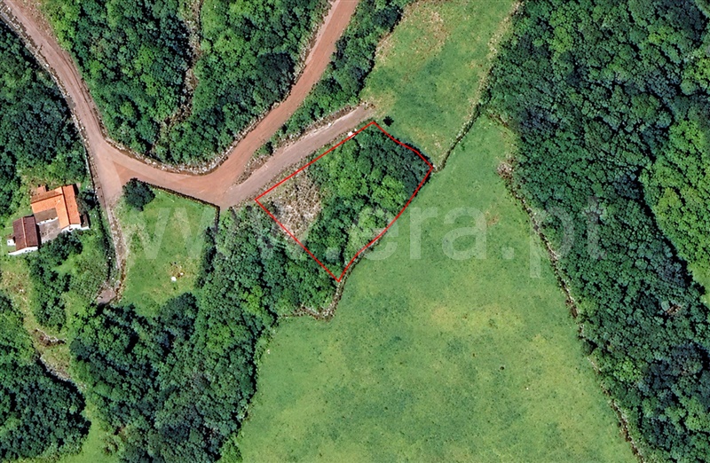 Terreno para Construção / São Roque do Pico, Santo Amaro