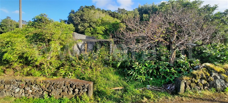 Terreno para Construção / São Roque do Pico, Santo António