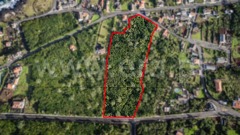 Terreno para Construção / São Roque do Pico, Santo António