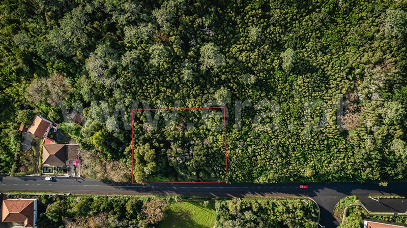Terreno para Construção / São Roque do Pico, Santo António