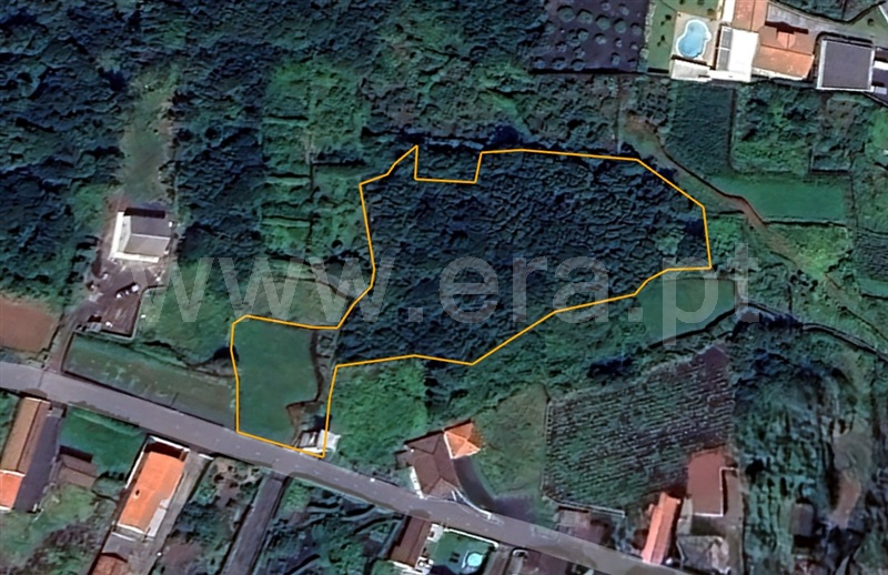 Terreno para Construção / São Roque do Pico, São Roque do Pico