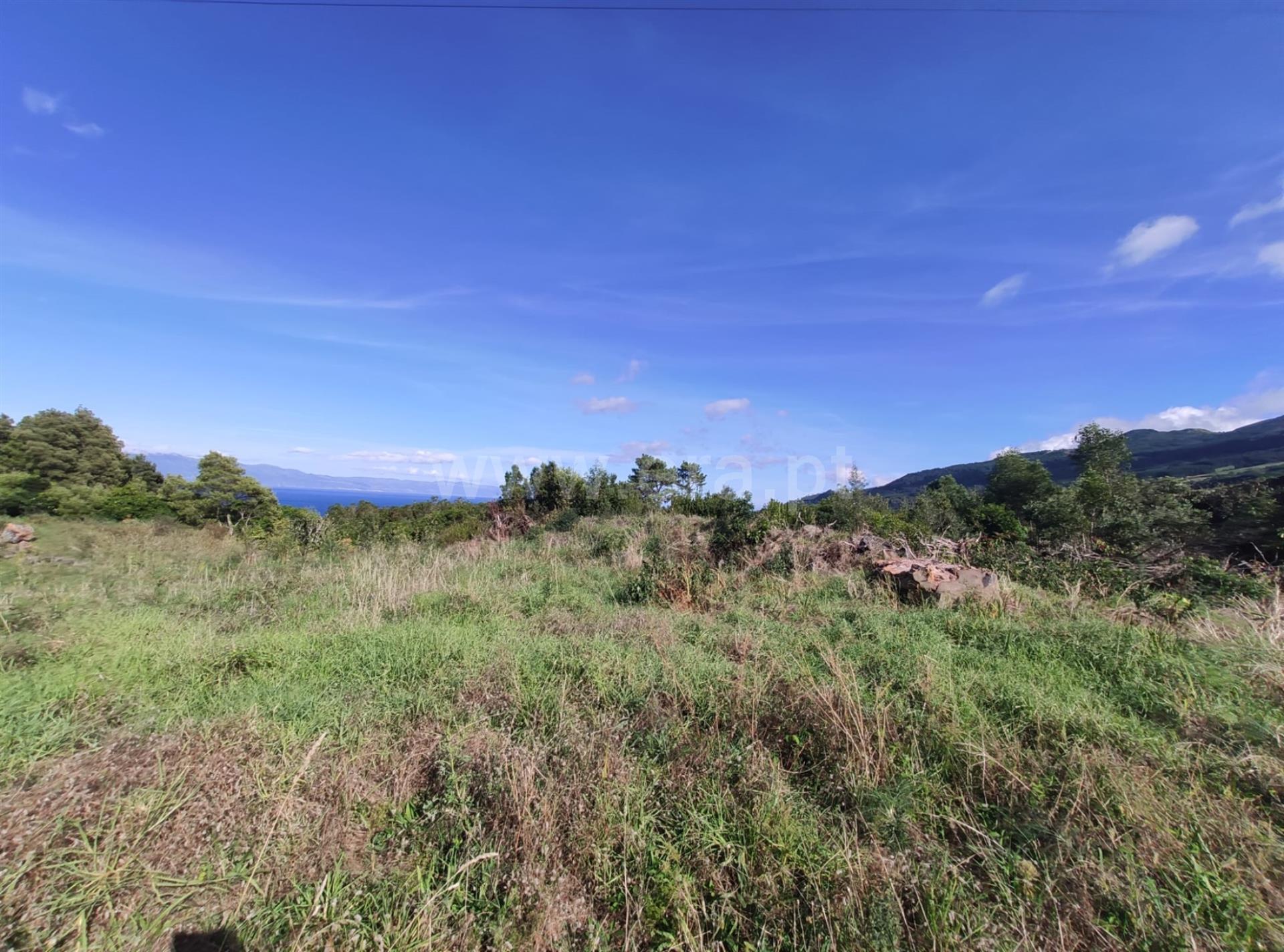 Land for sale in São Roque do Pico, Portugal — €57,500