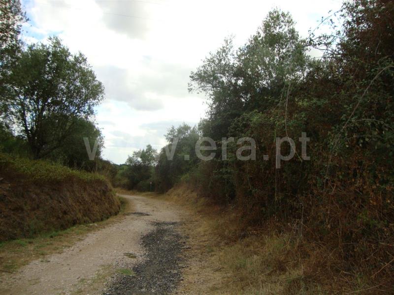 Terreno para Construção  Sardoal, Santarém - 476372 - 3