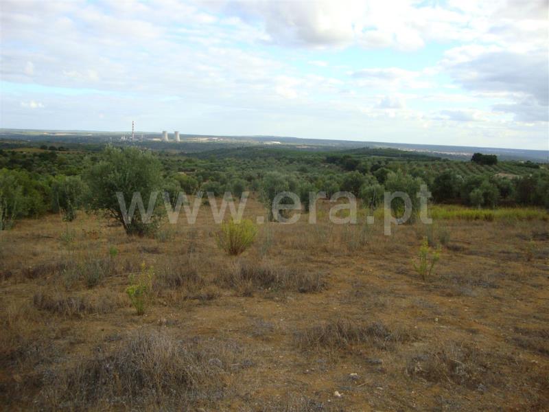 Terreno para Construção  Sardoal, Santarém - 476372 - 4