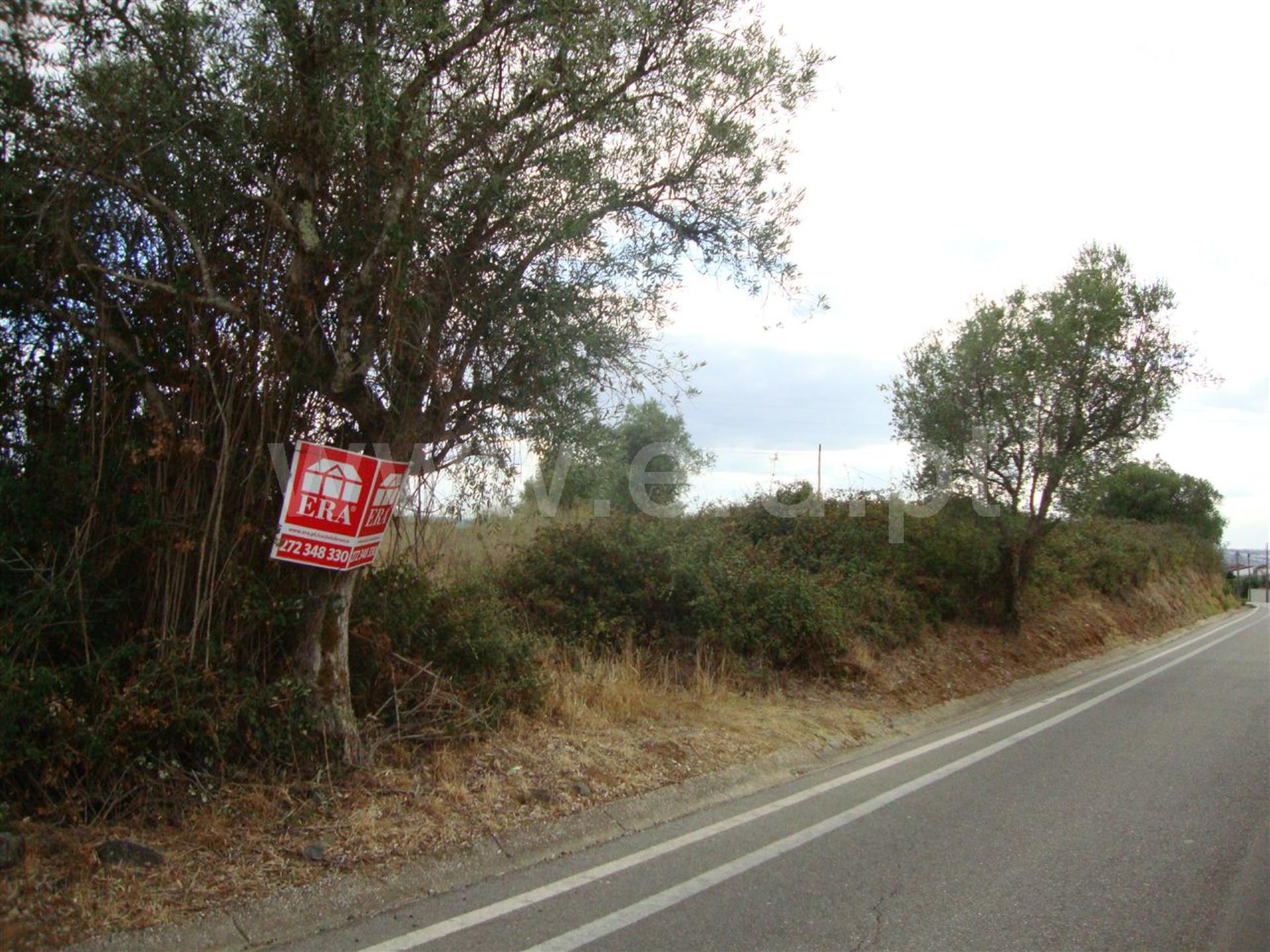 Terreno em Sardoal