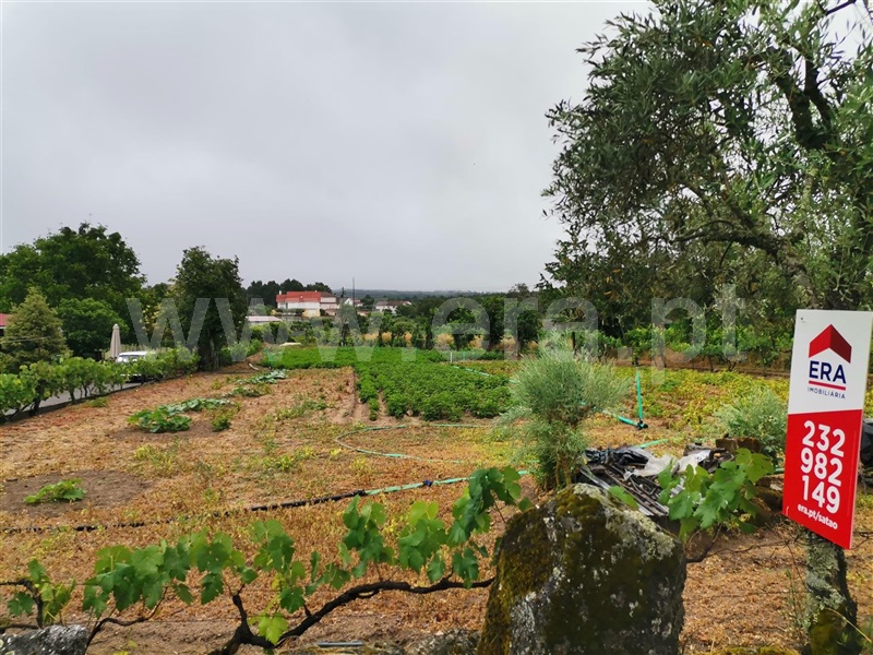 Terreno para Construção  Sátão, Avelal - 1416843 - 6