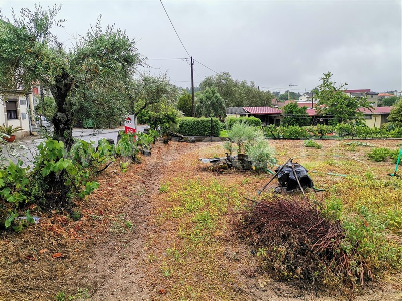 Terreno para Construção  Sátão, Avelal - 1416843 - 7
