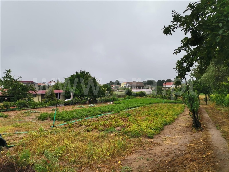 Terreno para Construção  Sátão, Avelal - 1416843 - 8