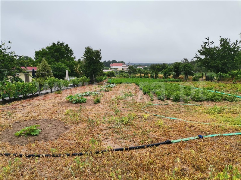 Terreno para Construção  Sátão, Avelal - 1416843 - 9