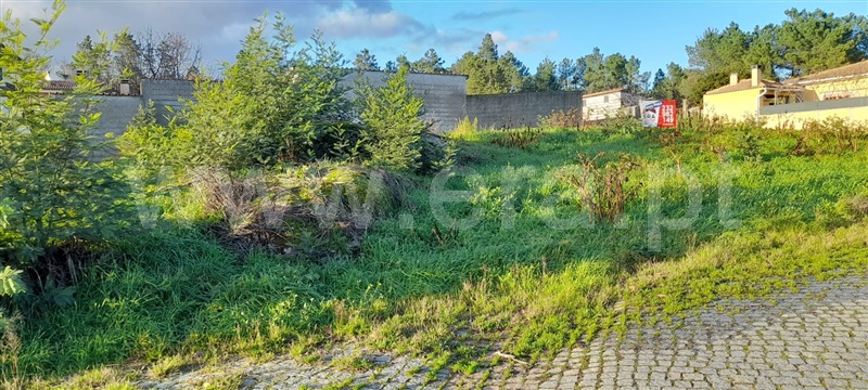 Terreno para Construção  Sátão, Decermilo, Romãs e Vila Longa - 1221186 - 3