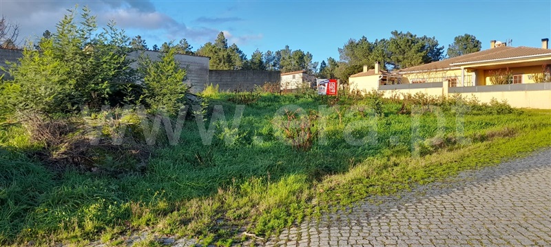 Terreno para Construção  Sátão, Decermilo, Romãs e Vila Longa - 1221186 - 6