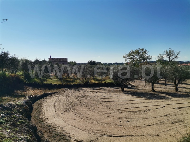 Terreno para Construção  Sátão, Sátão - 1246697 - 1