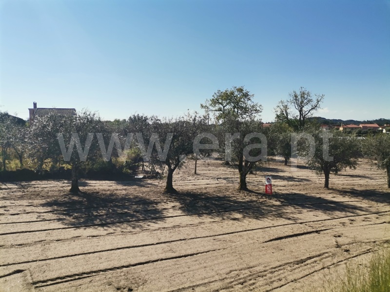 Terreno para Construção  Sátão, Sátão - 1246697 - 2