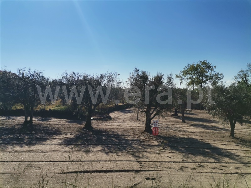 Terreno para Construção  Sátão, Sátão - 1246697 - 3