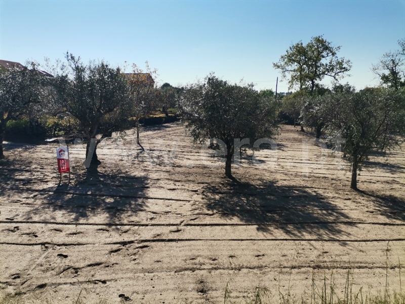 Terreno para Construção  Sátão, Sátão - 1246697 - 4