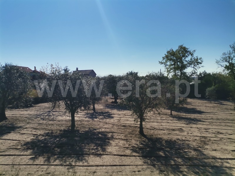 Terreno para Construção  Sátão, Sátão - 1246697 - 5