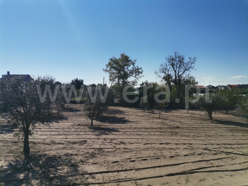 Terreno para Construção  Sátão, Sátão - 1246697 - 6