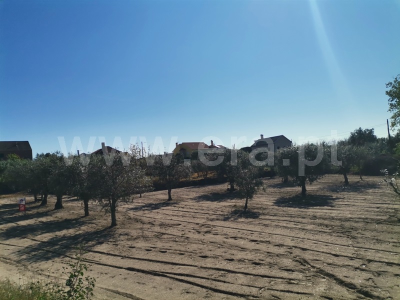 Terreno para Construção  Sátão, Sátão - 1246697 - 7